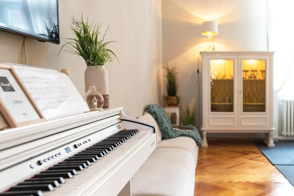No.8: Lovely & Cosy 3-Room Heart Of The City Timisoara Luaran gambar