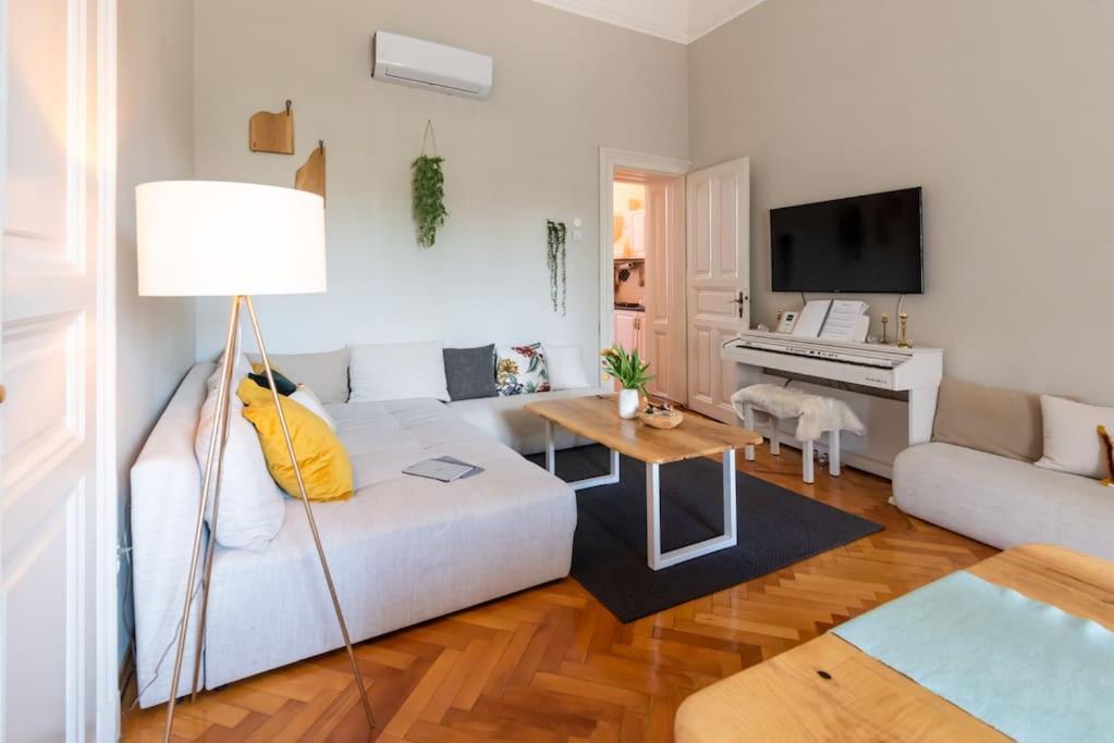 No.8: Lovely & Cosy 3-Room Heart Of The City Timisoara Luaran gambar