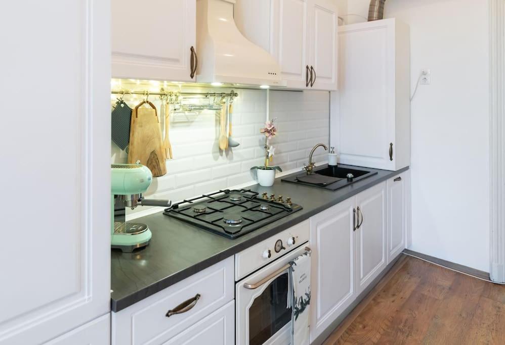 No.8: Lovely & Cosy 3-Room Heart Of The City Timisoara Luaran gambar
