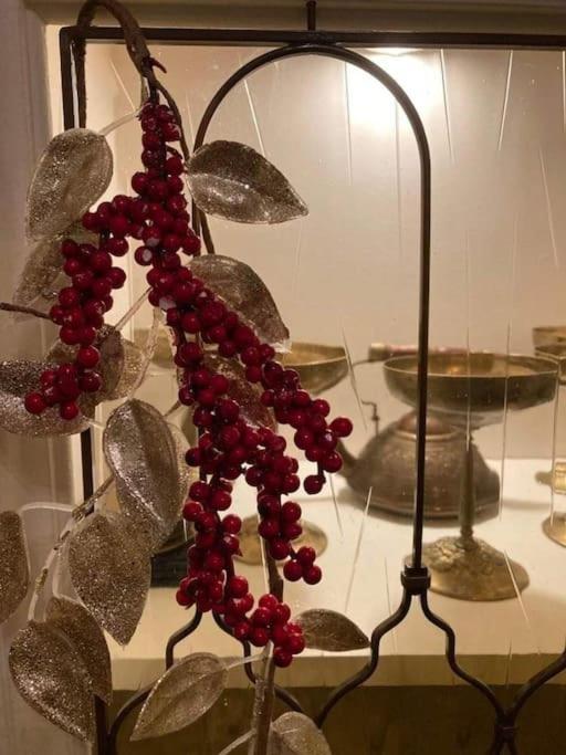 No.8: Lovely & Cosy 3-Room Heart Of The City Timisoara Luaran gambar