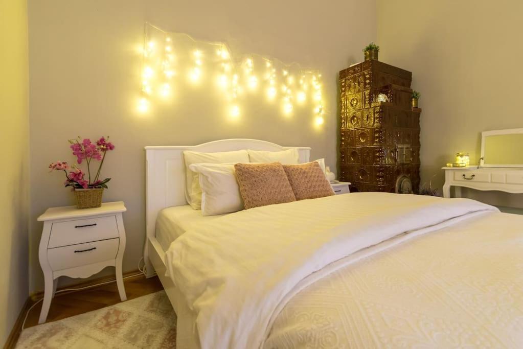 No.8: Lovely & Cosy 3-Room Heart Of The City Timisoara Luaran gambar