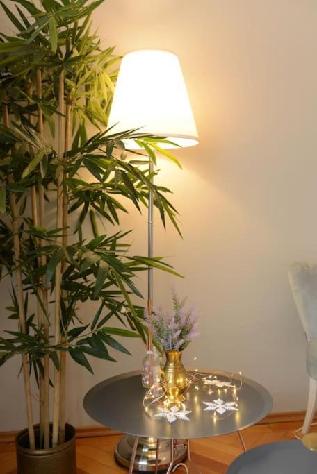 No.8: Lovely & Cosy 3-Room Heart Of The City Timisoara Luaran gambar